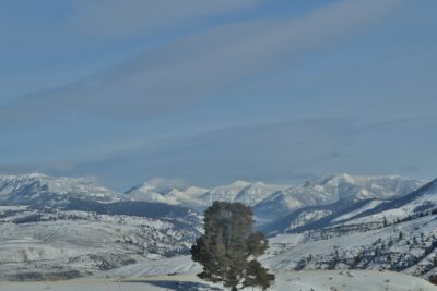 The Wonders of Wyoming in the Winter
