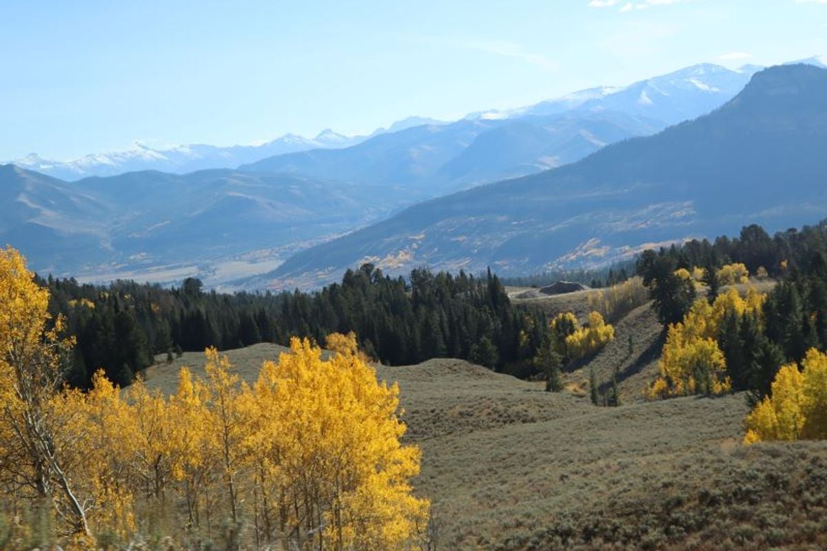 Discover Elk Hunting in Wyoming