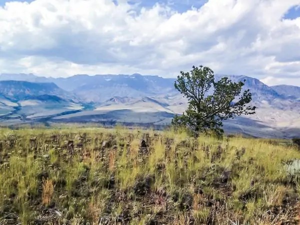 Common Mistakes To Avoid When Buying Land In Wyoming 2