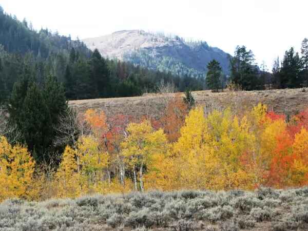Living Off-Grid In Wyoming 7