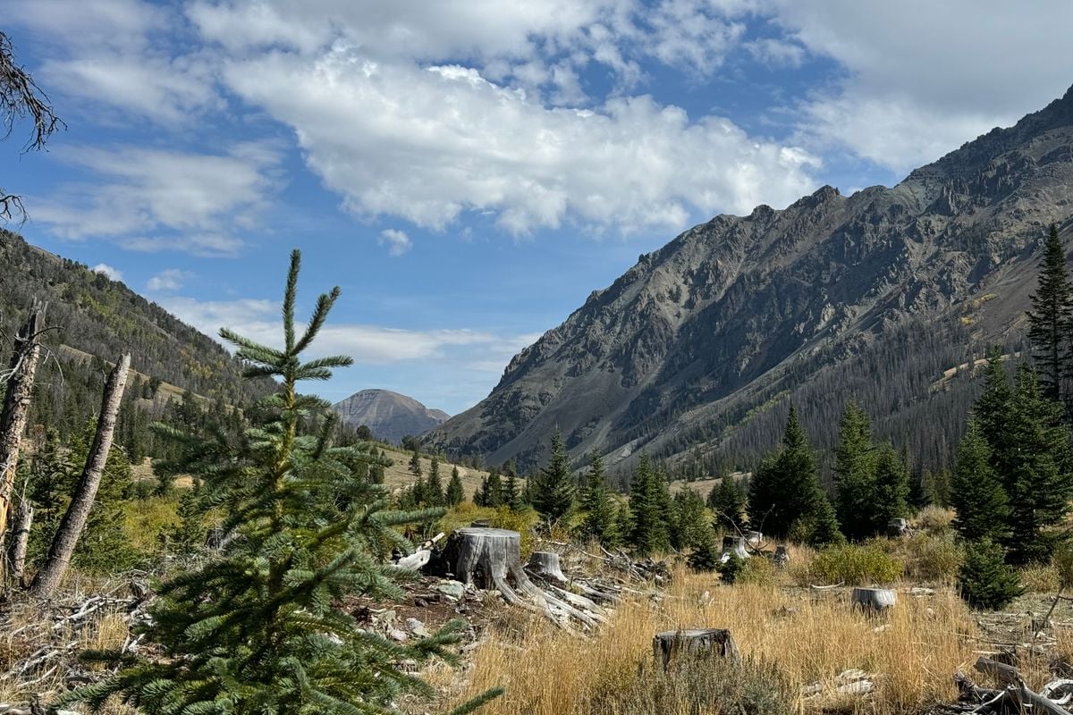 Exploring Kirwin Ghost Town and Wood River in Cody Wyoming