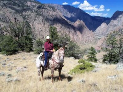 Moving To Wyoming Read This First 1