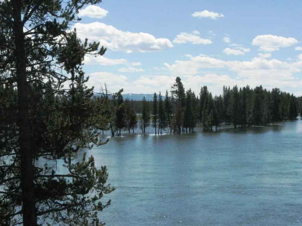 Yellowstone National Park 6