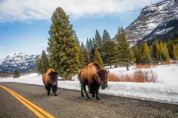 Tax Benefits Of Living In Wyoming 1