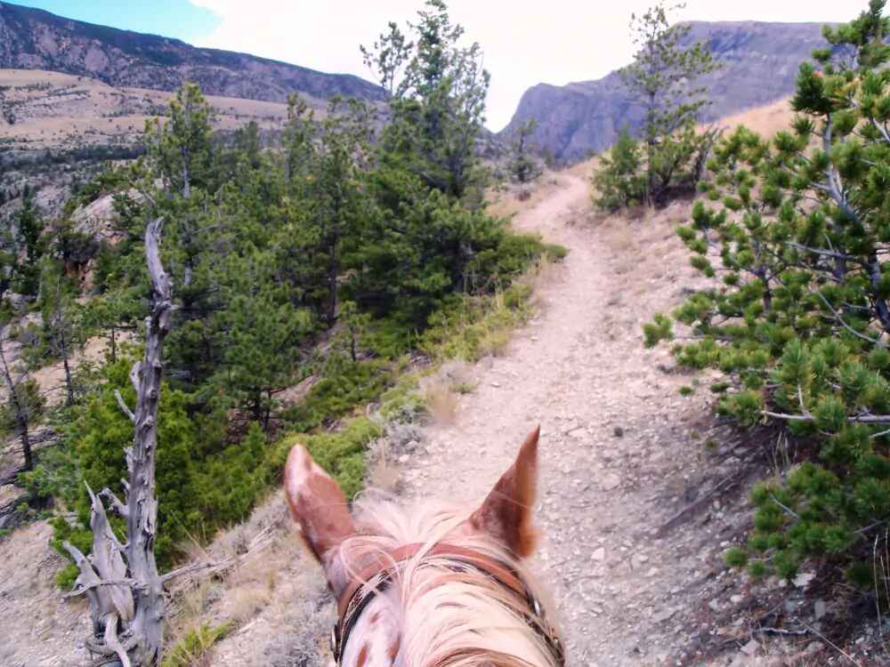 7 Reasons Why You Should Visit Cody Wyoming 4