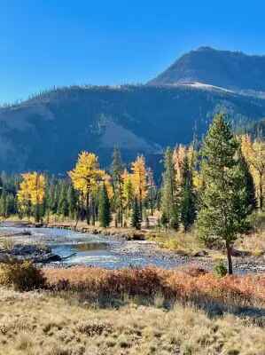 Fall in Yellowstone Country 9