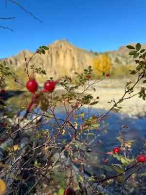 Fall in Yellowstone Country 7
