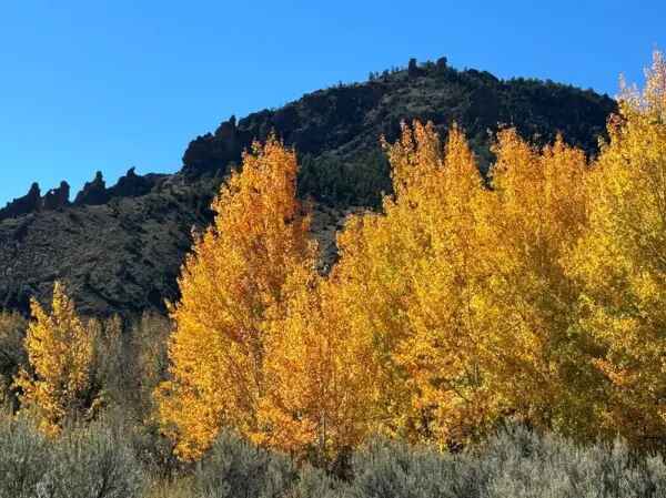 Fall in Yellowstone Country 5