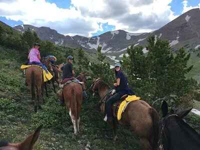 Living in Yellowstone Country 1