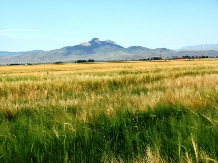 Irrigation Rights In Wyoming 1