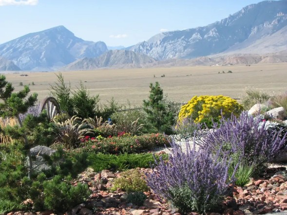 Irrigation Rights In Wyoming 2