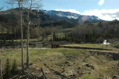 Elk Meadow Ranch - Sold 1