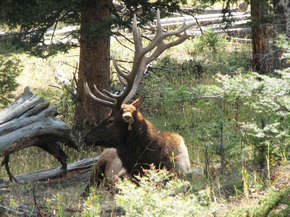 Fall Time in Wyoming 6