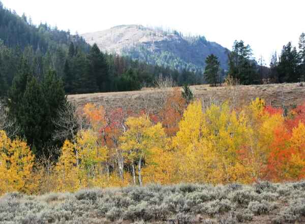 Fall Time in Wyoming 1