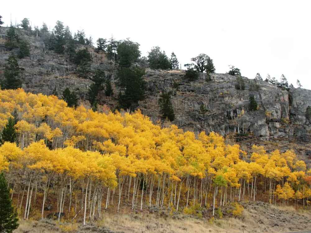 Fall Time in Wyoming 4