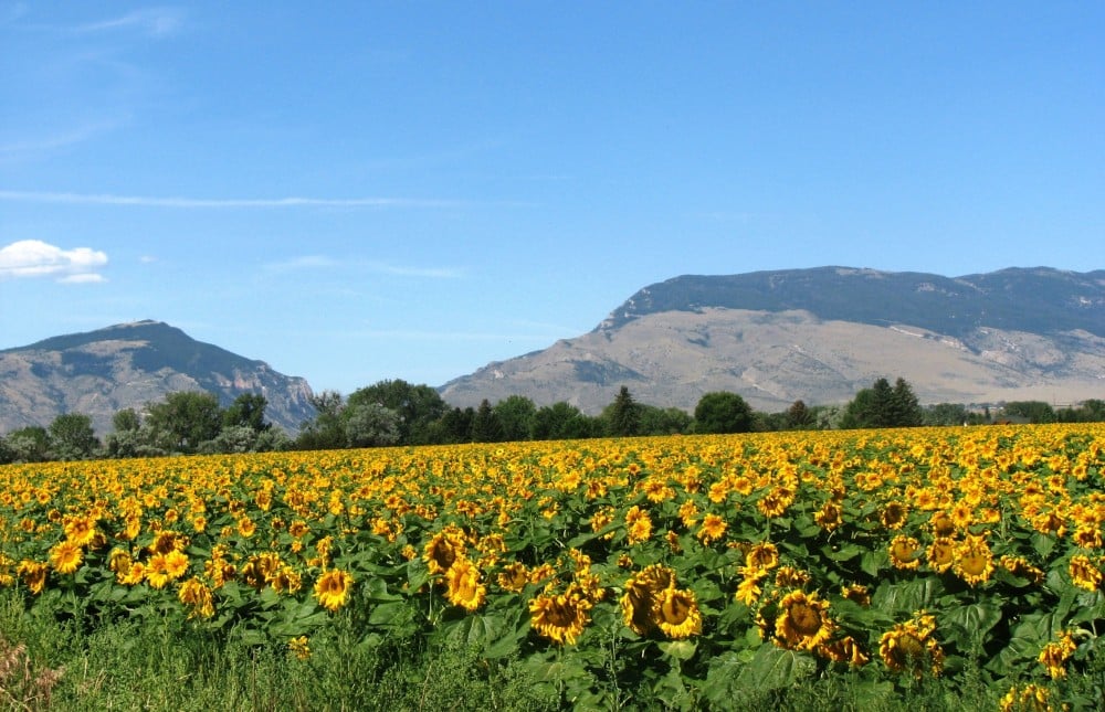 Wyoming Photo Gallery