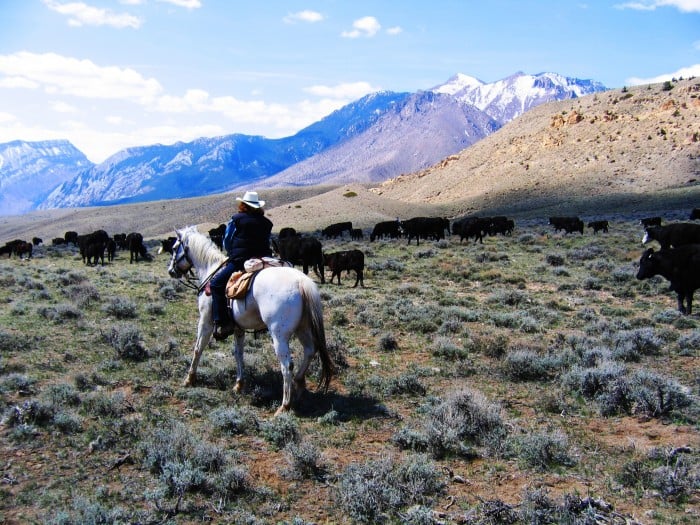 Wyoming Photo Gallery