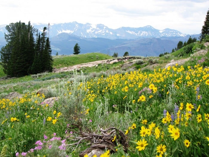 Wyoming Photo Gallery