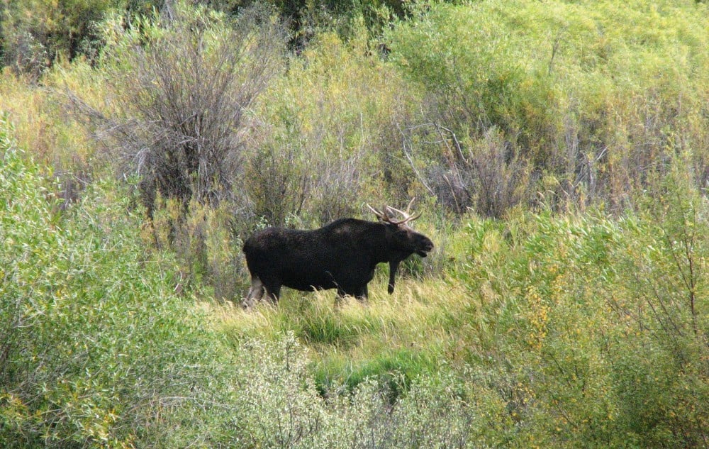 Wyoming Photo Gallery