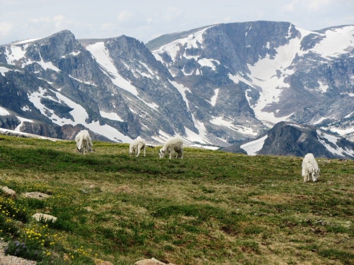 Wyoming Photo Gallery