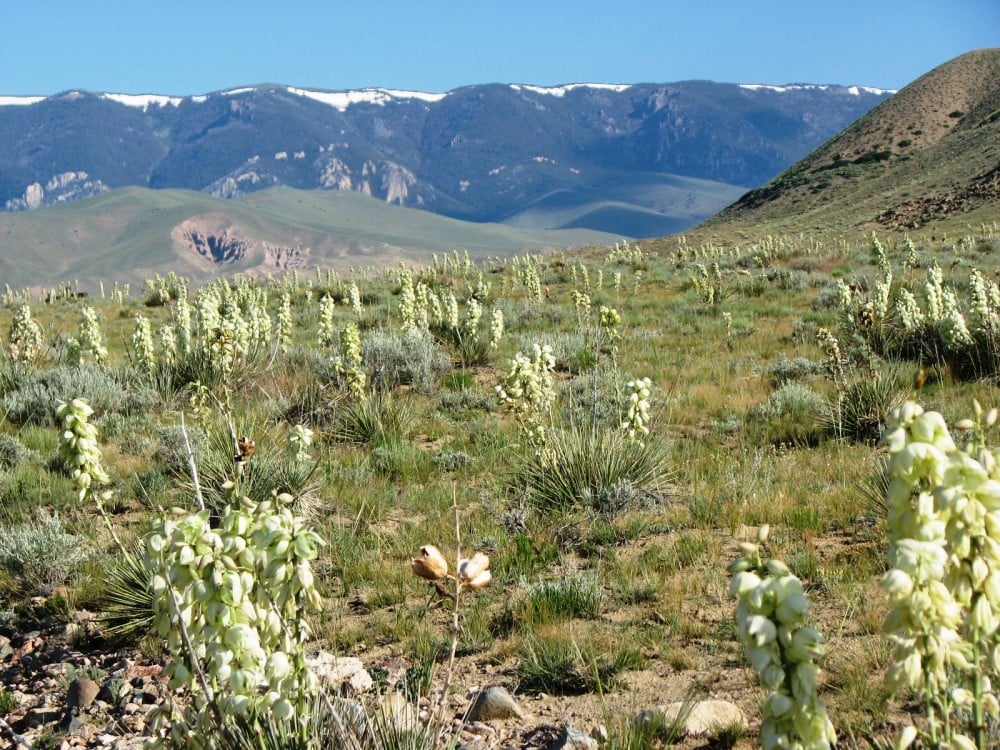Wyoming Photo Gallery