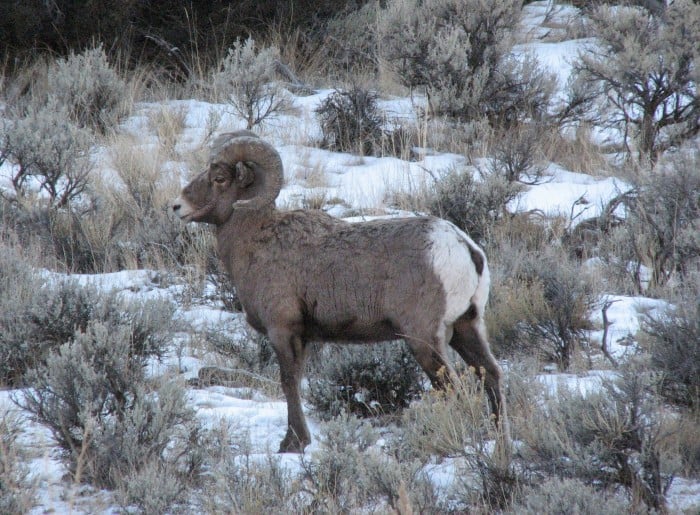 Wyoming Photo Gallery