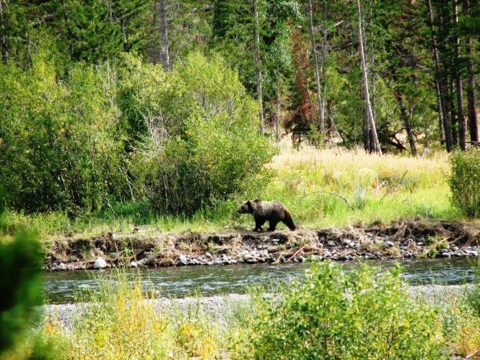 Wyoming Photo Gallery