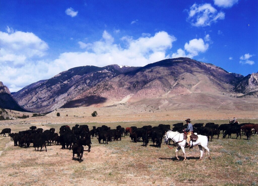 Wyoming Photo Gallery