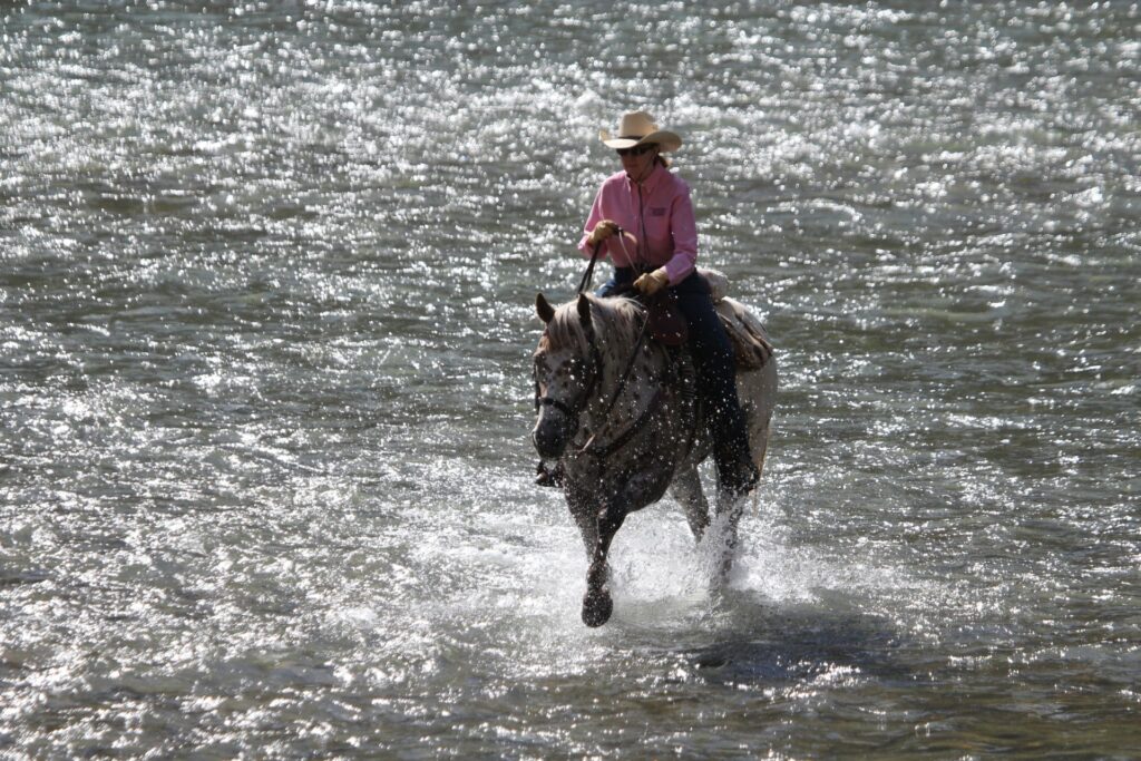 Wyoming Photo Gallery