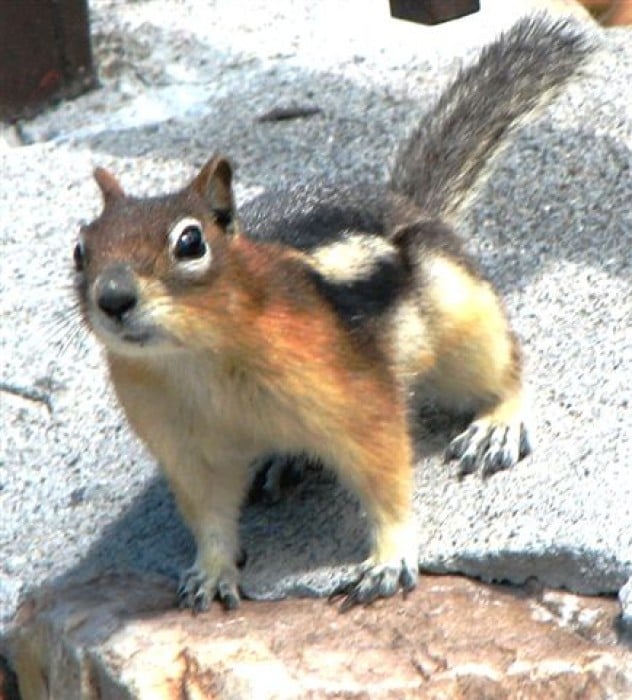 Wyoming Photo Gallery