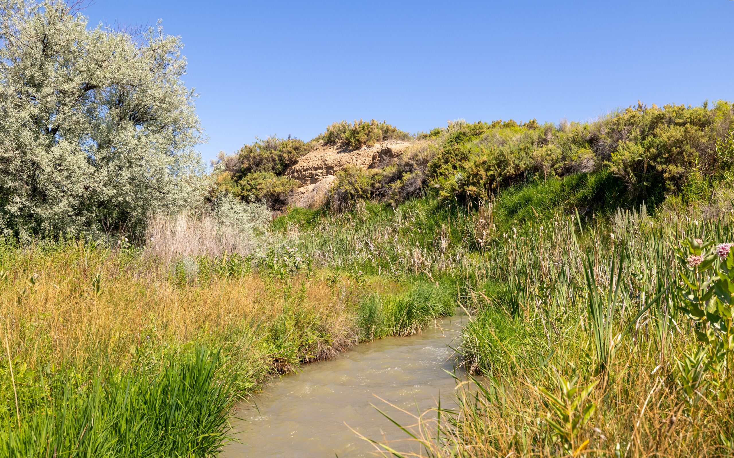 Buck Creek Way Lot 20