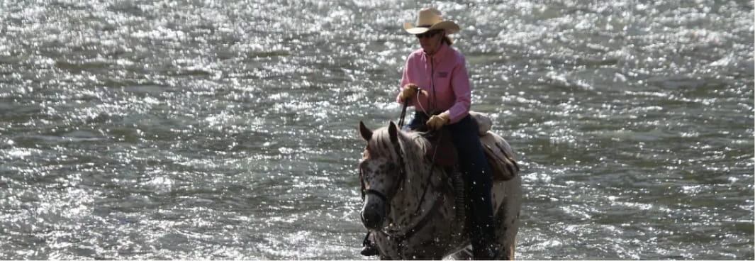 Rider on a spotted horse crossing a sparkling river