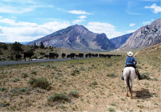 Horse rider heading toward mountains across open range