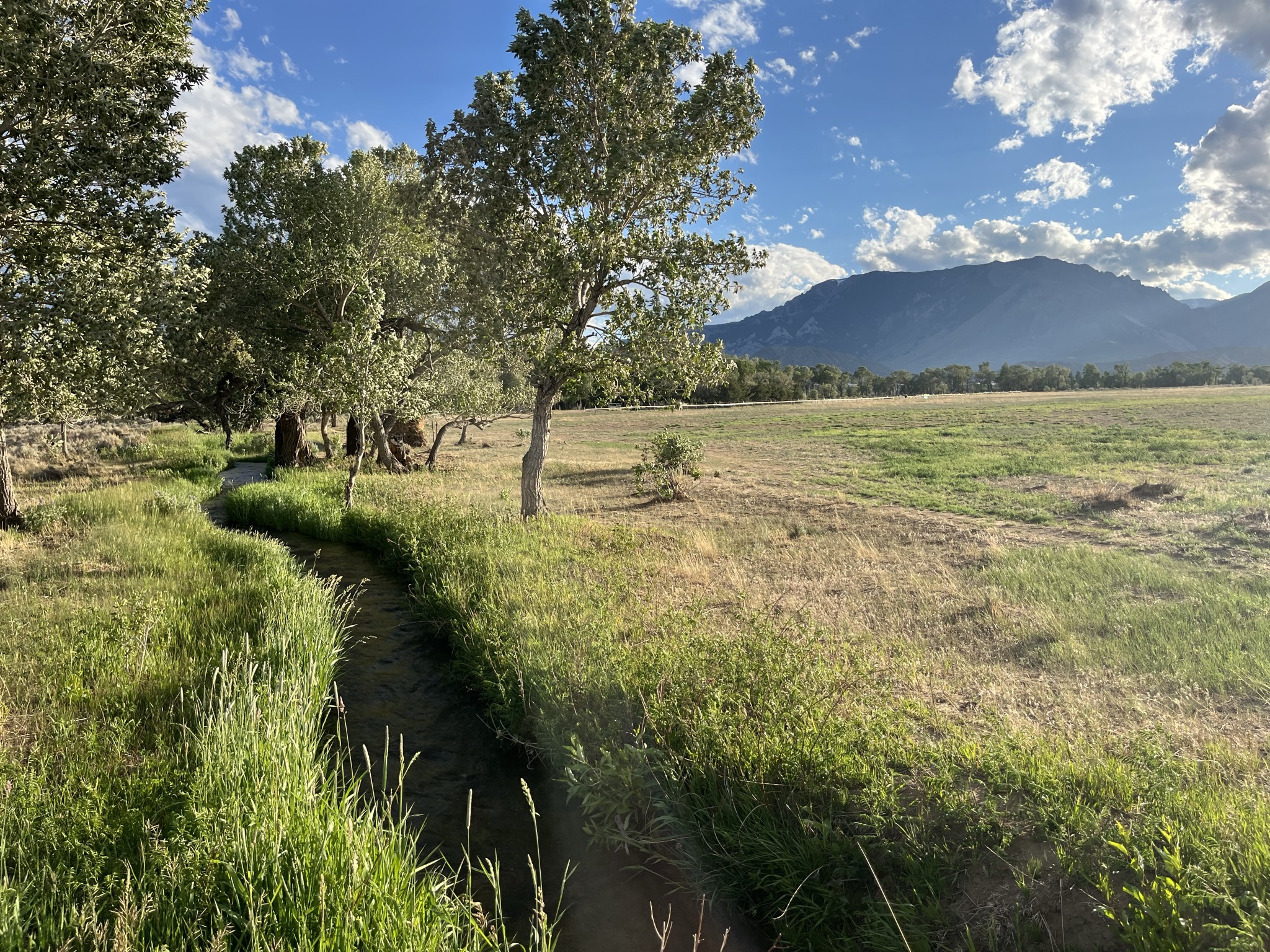 TBD Great Bear Trail, Lot 2
