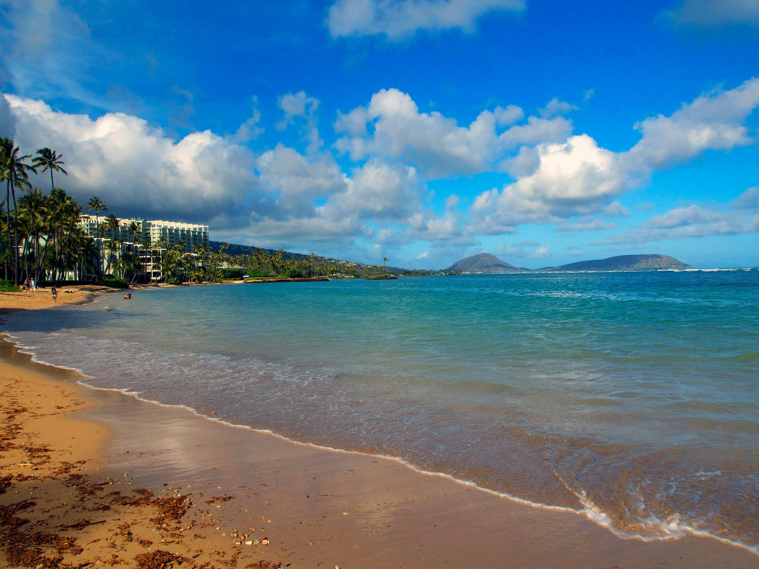 Kahala 001