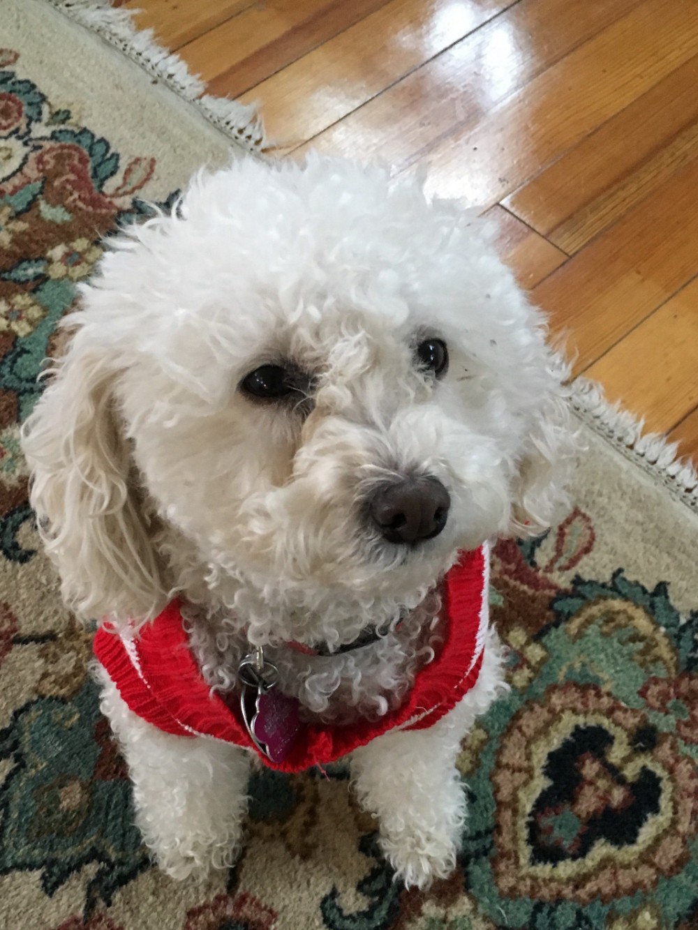 Zoey