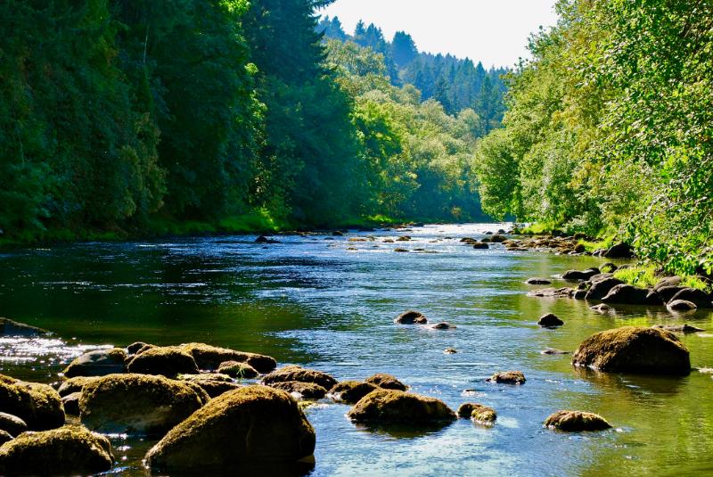 <span>Tigard /</span> <span>Tualatin</span>