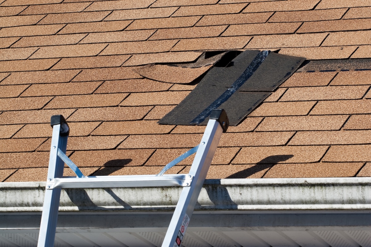 Fixing damaged roof shingles.