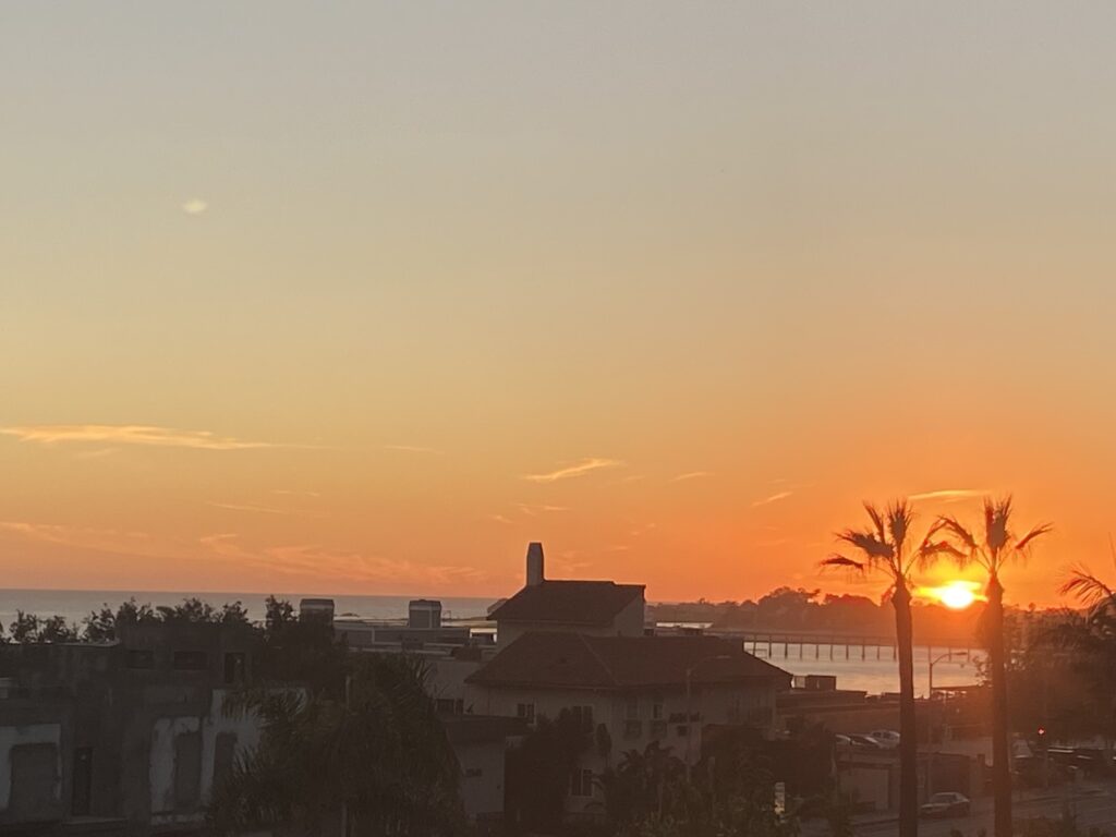 Sunset view overlooking the Malibu Pier with ocean, palm trees, and warm sky from the Carbon Beach area.