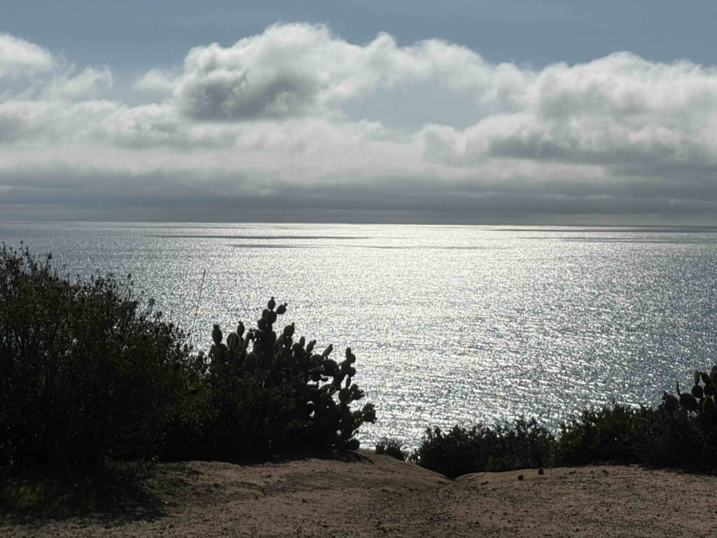 Bluff-top view with coastal vegetation overlooking the Pacific Ocean near Malibu Road.