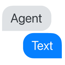Agent Text