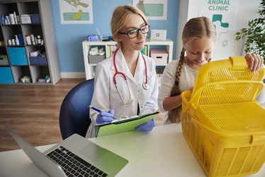 Girl with her pet at the vet