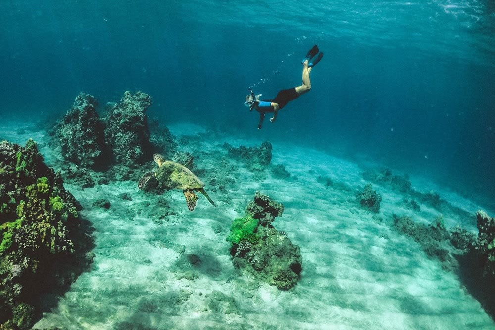 Snorkeling
