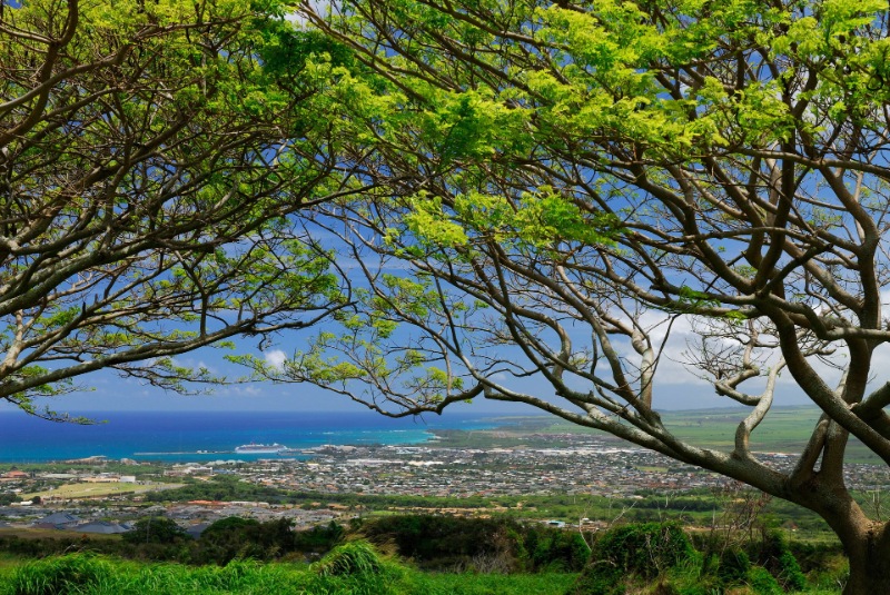 Wailuku