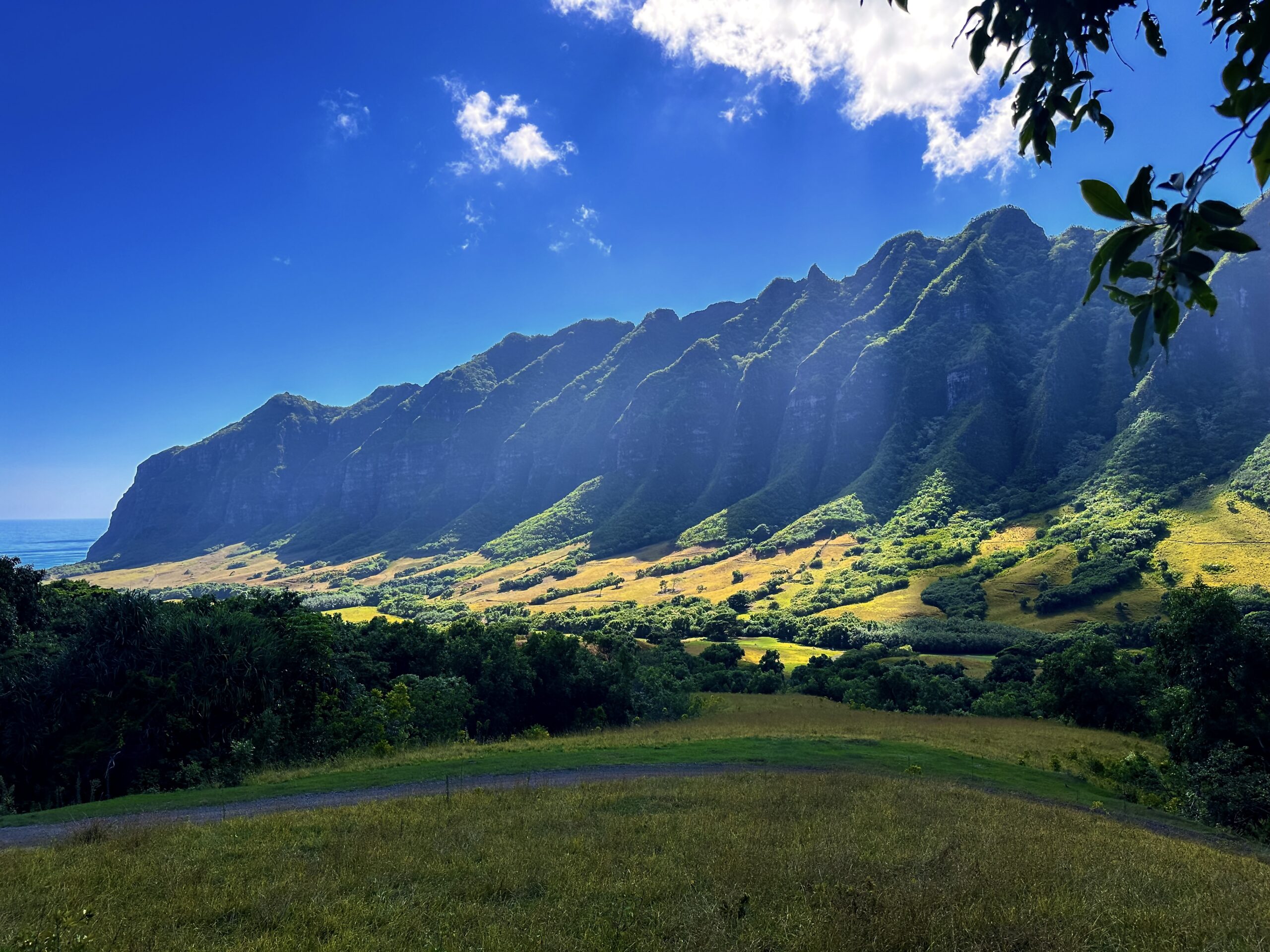 Capital Gains, HARPTA & 1031 Exchanges: A Maui Seller’s Tax Guide