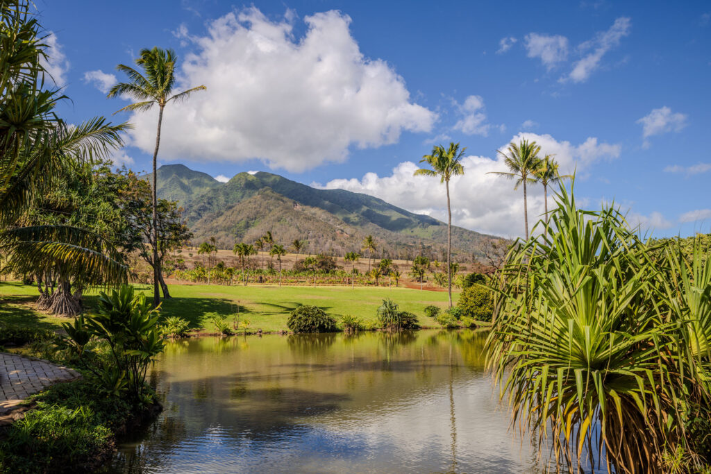 What Is My Maui Home Worth? How Luxury Pricing Actually Works