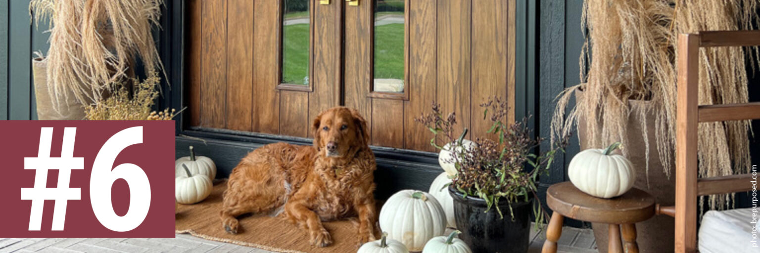 6 Ways to Create Curb Appeal in Shoulder Seasons