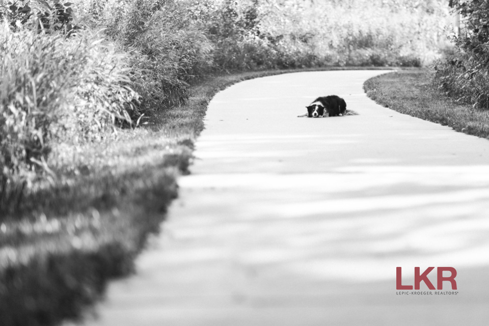 LKR Agent Profile: Tracy Reiten