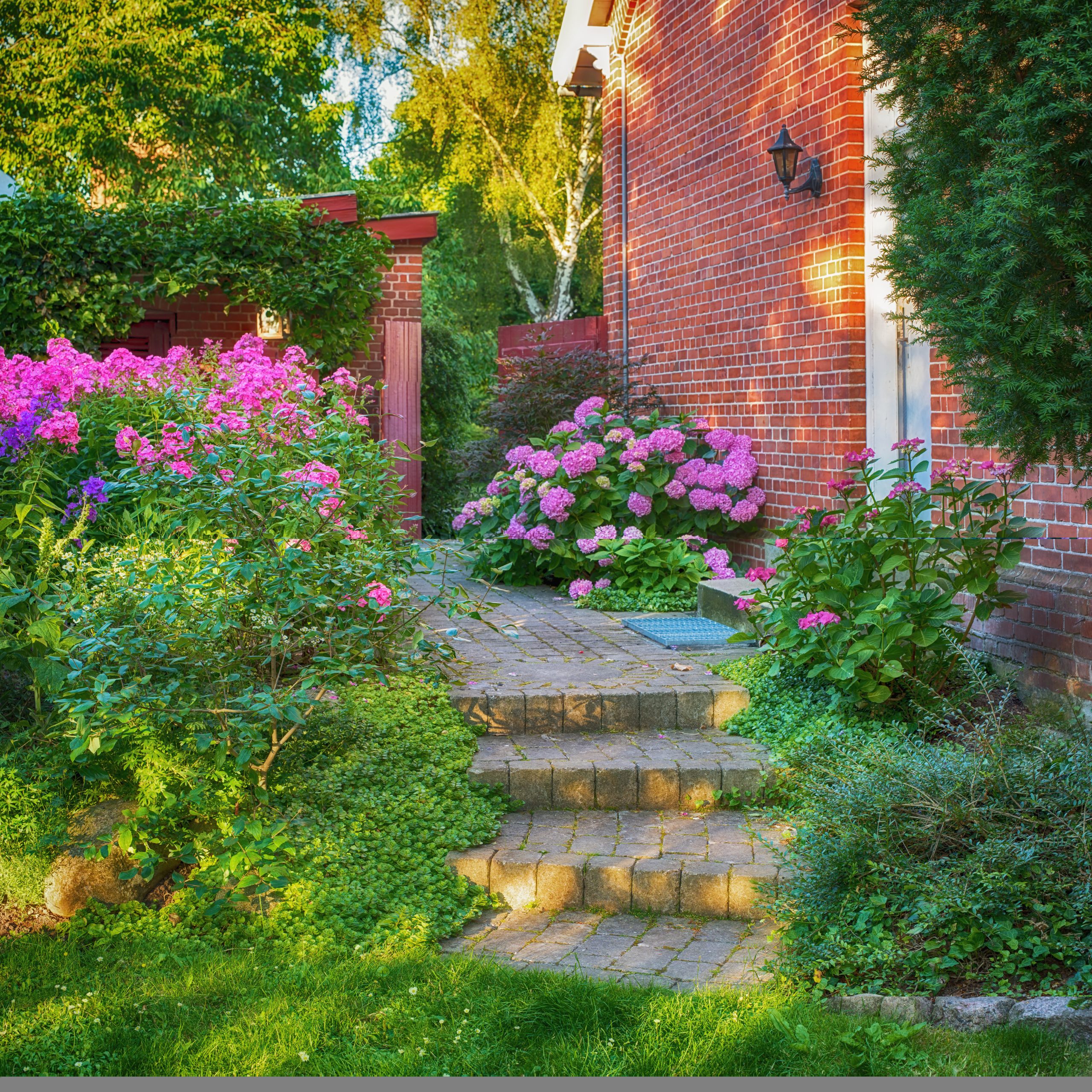 Landscaped front yard with shade trees and mulch beds