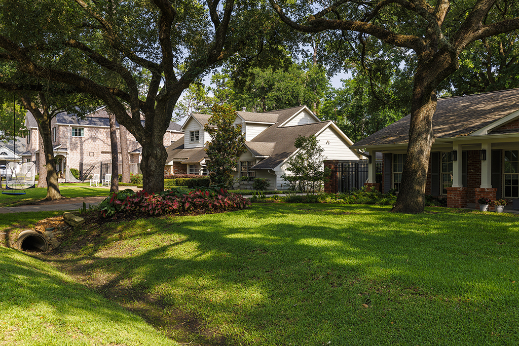Strolling through shaded wealthy neighborhood. Residential neighborhood adorn tree-lined street in East Houston, TX